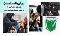 بررسی ، ارزیابی و تکمیل واکسیناسیون 13187نفر اتباع غیر ایرانی  زیر 15 سال شهرستان شهریار  